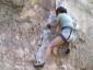 mumu-climb.jpg
