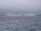 STB_3417.JPG