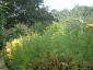 1dscf0004.jpg