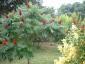 1dscf0014.jpg