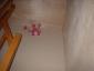 1dscf0023.jpg