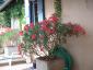 2dscf0020.jpg