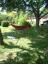 DSCF0013.JPG