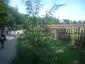 DSCF0030.JPG
