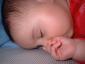 dscf0005.jpg