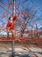 20040315T163339.jpg