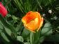 20040403T221234.jpg