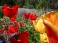 20040425T205326.jpg