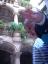 20050428T104545.jpg