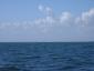 20050604T171823.jpg