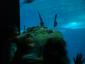 20050727T121441.jpg