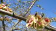 20070409T133741.jpg