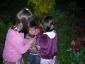 20070421T195435.jpg