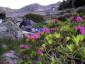 20070701T064519.jpg