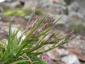 20070701T093011.jpg
