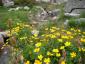 20070701T102344.jpg