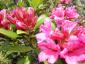 20070701T140308.jpg