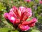 20070701T140355.jpg