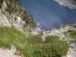 20070701T153313.jpg
