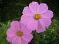 20070813T123248.jpg