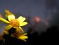 20070816T210421.jpg