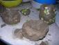 20070824T203251.jpg
