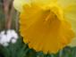 20080314T183504.jpg