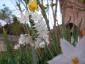 20080314T183613.jpg