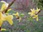 20080314T183956.jpg