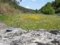 20080416T121107.jpg