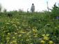 20080421T154625.jpg