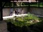 20080501T105410.jpg