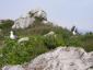 20080511T172154.jpg