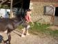 20080709T185131.jpg