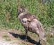 20080715T104055.jpg