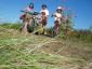 20080715T172656.jpg