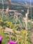 20080723T103148.jpg