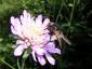 20080726T095841.jpg