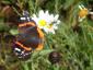 20080726T101757.jpg
