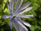 20080726T102437.jpg