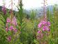 20080726T102813.jpg