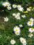 20080726T114210.jpg