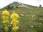 20080726T131131.jpg