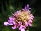 20080726T145745.jpg