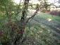 20081011T102748.jpg