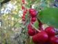 20081011T102816.jpg