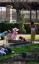 20090319T152804.jpg