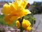 20090322T142535.jpg
