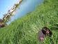 20090413T133052.jpg
