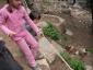 20090523T114442.jpg